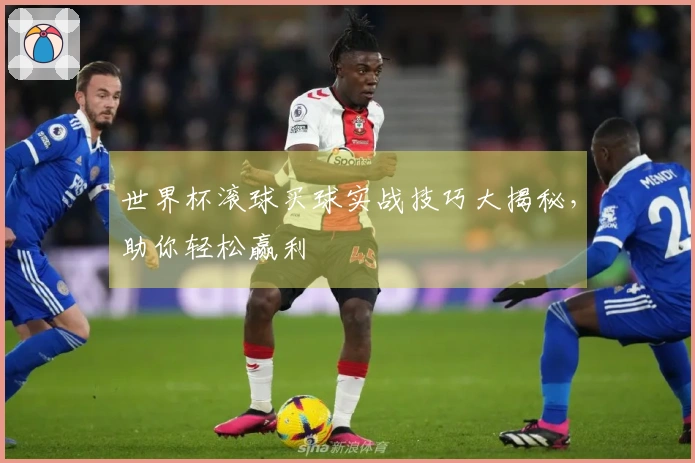 世界杯滚球买球实战技巧大揭秘，助你轻松赢利