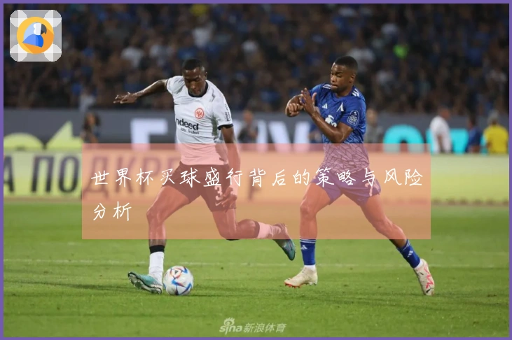 世界杯买球盛行背后的策略与风险分析